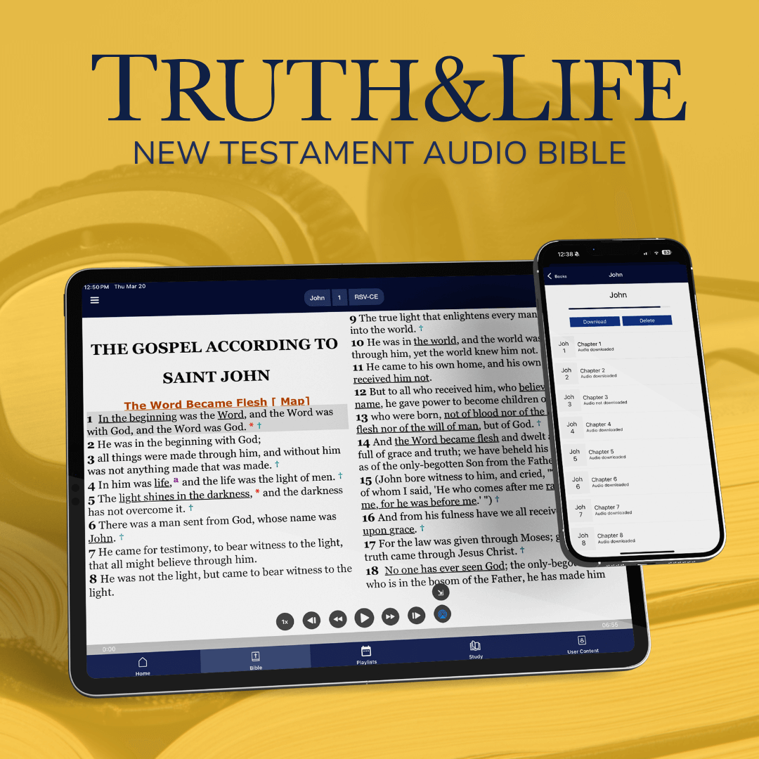 TL Audio image